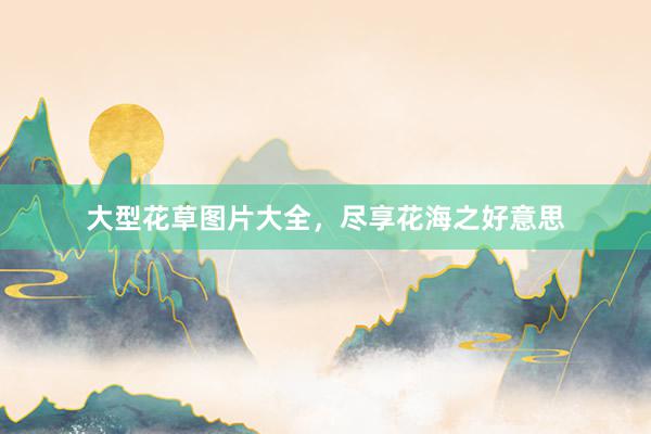 大型花草图片大全，尽享花海之好意思