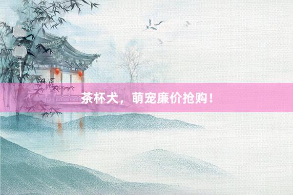 茶杯犬，萌宠廉价抢购！