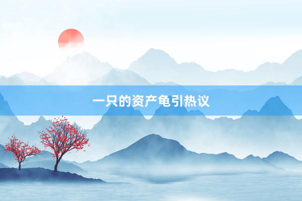 一只的资产龟引热议
