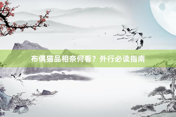 布偶猫品相奈何看？外行必读指南